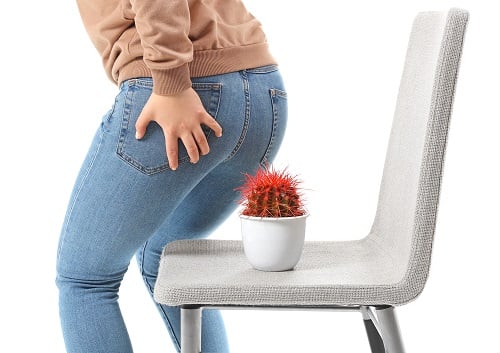 CACTUS SOBRE SILLA ASIENTO Y PERSONA A PUNTO DE SENTARSE LEVANTA DEL ASIENTO HEMORROIDES DOLOR INFLAMACIÓN ARDOR COMEZÓN SANGRADO